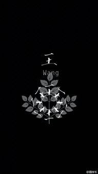 关于姓氏的背景音乐,探寻家族传承的音符之旅  第3张