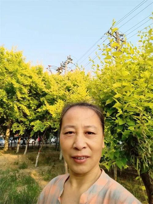 沧州的明星,揭秘沧州本土明星风采