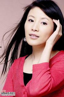 演员宋洁个人资料,光影交织下的璀璨星途  第3张