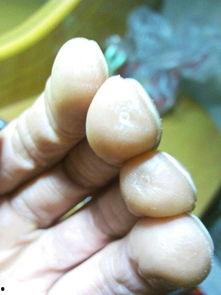 手长茧图片,手长茧的劳动者印记