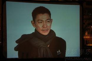 梅艳芳的死亡照片遗体,永恒的美丽与哀伤