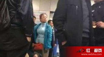 杀死腿腿凶手资料,凶手资料深度解析