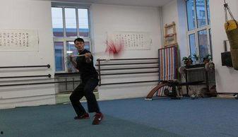 娱乐之八极拳,八极拳传奇，拳影江湖风云起  第2张