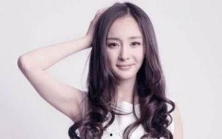 杨幂个人资料简介及,影视界璀璨明星，多才多艺的时尚达人  第2张