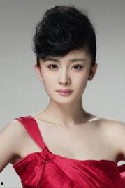 杨幂个人资料简介及,影视界璀璨明星，多才多艺的时尚达人  第3张