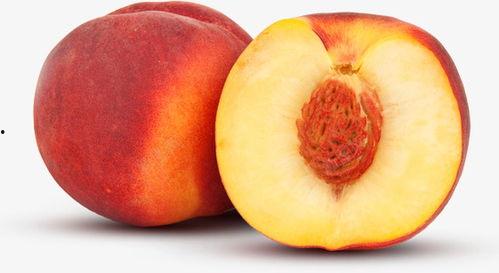 桃子的简短资料,探寻桃子的魅力与营养