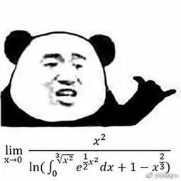 表情包 求极限,捕捉瞬间情感与哲理 第2张 表情包 求极限,捕捉瞬间情感与哲理 第2张