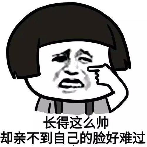 揭秘 表情包,表情包背后的文化密码 第3张 揭秘 表情包,表情包背后的文化密码 第3张