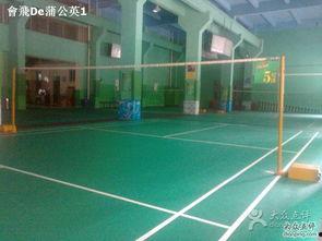 羽毛球场照片,激情四溢的竞技风采  第2张