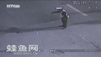 协警查个人资料