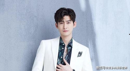 张翰是一线明星吗,一线明星的璀璨之路  第2张