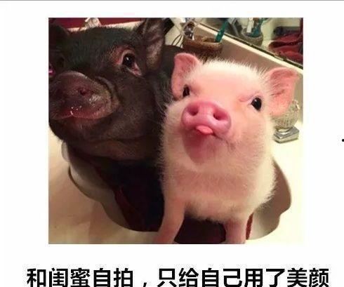 什么搞笑片好看,盘点年度必看搞笑片TOP10