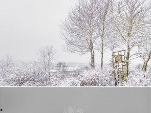 白雪图片大全,冬日白雪美景集锦
