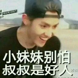 exo表情包污的,揭秘网络热图的趣味与争议