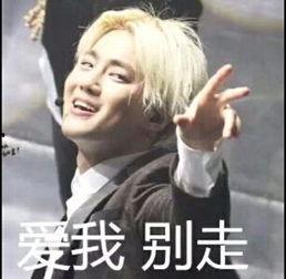 exo表情包污的,揭秘网络热图的趣味与争议  第3张