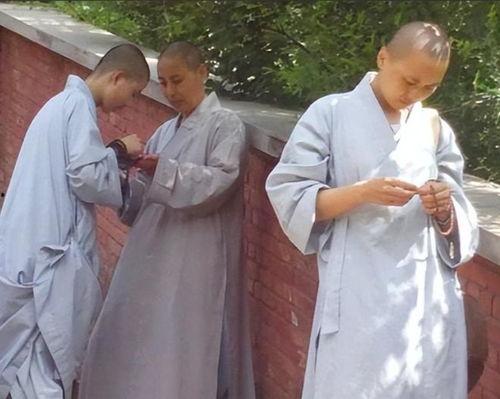 五台山尼姑图片,宁静圣地的修行者风采